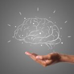 Inside the ADHD Brain