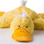 ADHD Burnout and Recovery