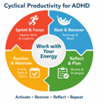 Cyclical productivity for ADHD